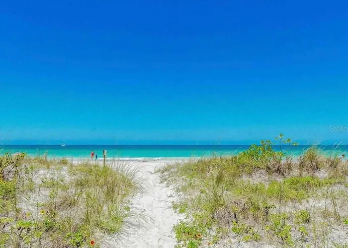 Pelican 7 *