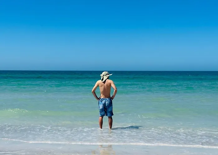 Pelican 7 * Clearwater Beach