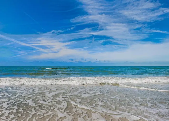 Pelican 7 * Clearwater Beach